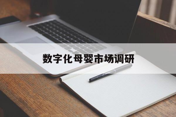 和田市数字化母婴市场调研(数字化母婴市场调研报告)